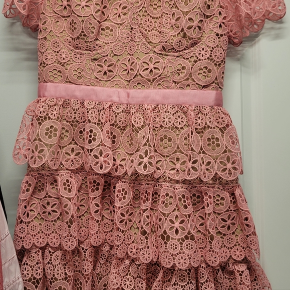 Self Portrait Pink Lace Mini Dress - Picture 4 of 11